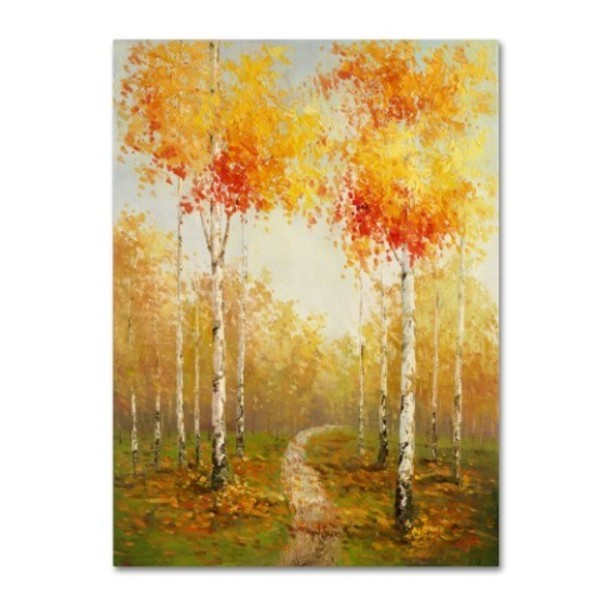 Trademark Fine Art Rio 'On the Way to Aspen' Canvas Art, 18x24 MA0425-C1824GG